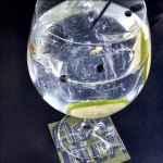 Gin Tonic con enebro