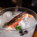 Gin Tonic ingredientes perfectos
