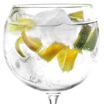 Gin Tonic: El origen